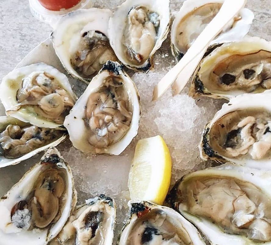 http://medcz.com/wp-content/uploads/2020/11/How-to-Eat-Raw-Oysters.jpg