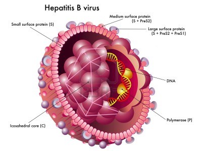 Hepatitida B: příčiny, příznaky a léčba