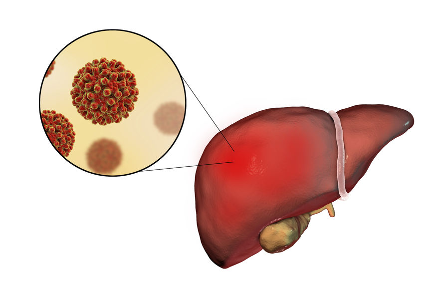 Jak se přenáší hepatitida B?