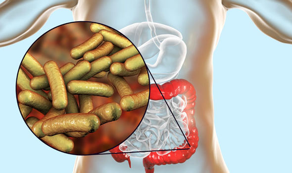 Příznaky shigella: Bakteriální infekce v žaludku