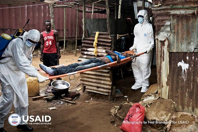 Vše, co potřebujete vědět o viru Ebola